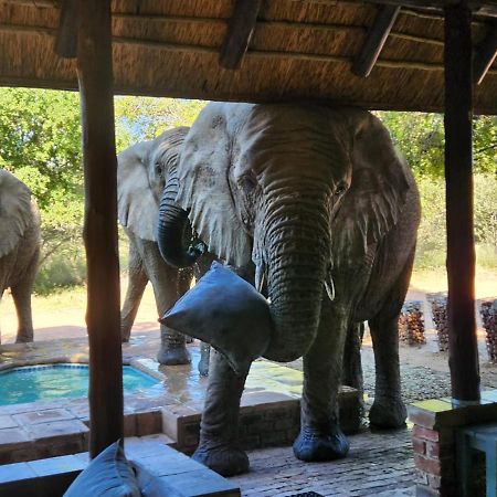 Twiga Lodge Mabalingwe Bela-Bela Buitenkant foto