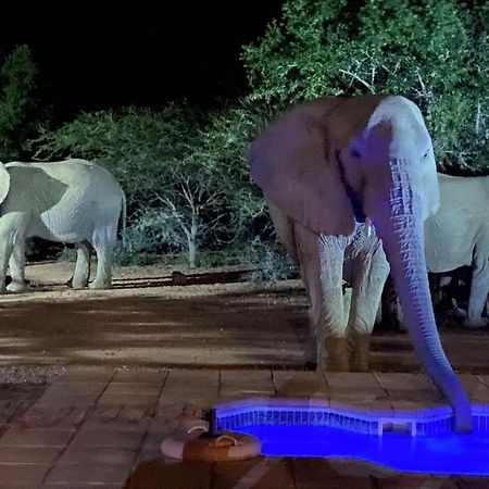 Twiga Lodge Mabalingwe Bela-Bela Buitenkant foto