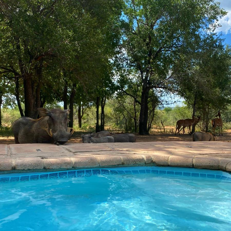 Twiga Lodge Mabalingwe Bela-Bela Buitenkant foto