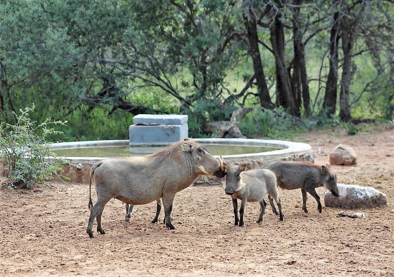 Twiga Lodge Mabalingwe Bela-Bela Buitenkant foto