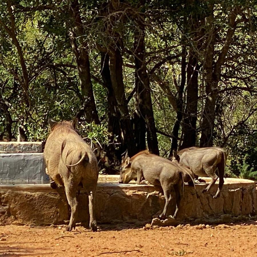 Twiga Lodge Mabalingwe Bela-Bela Buitenkant foto