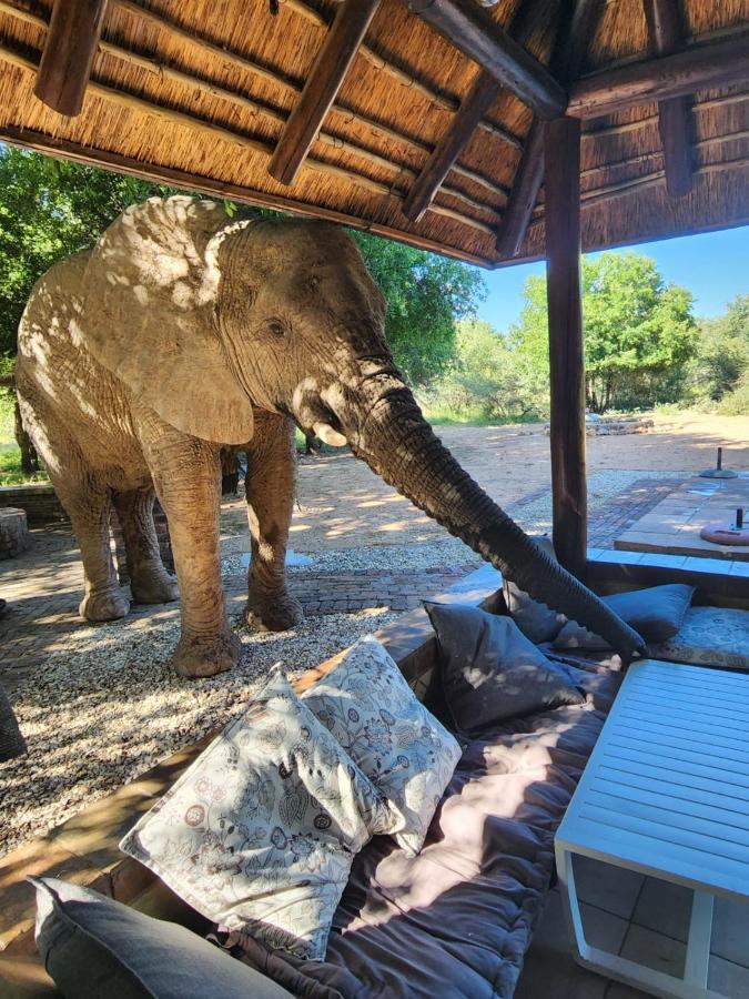 Twiga Lodge Mabalingwe Bela-Bela Buitenkant foto