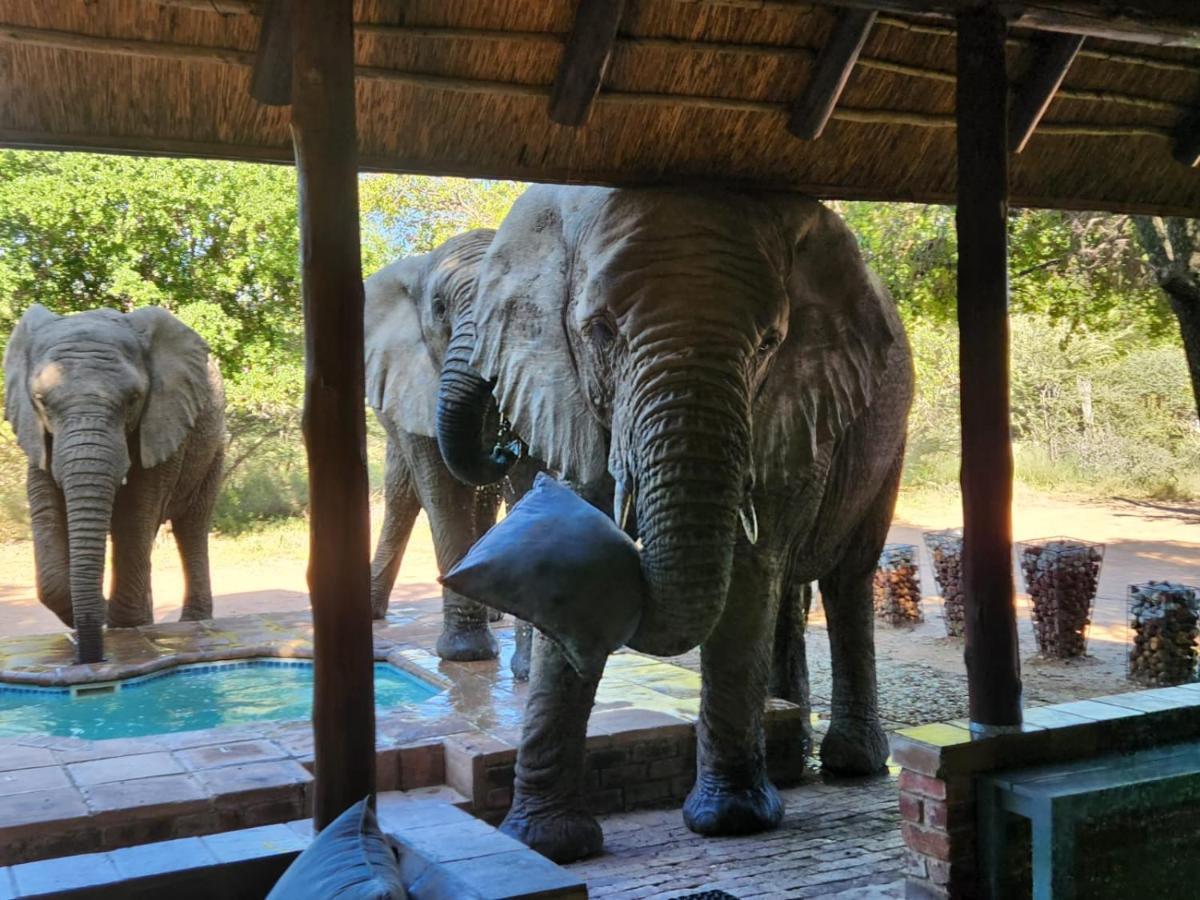 Twiga Lodge Mabalingwe Bela-Bela Buitenkant foto