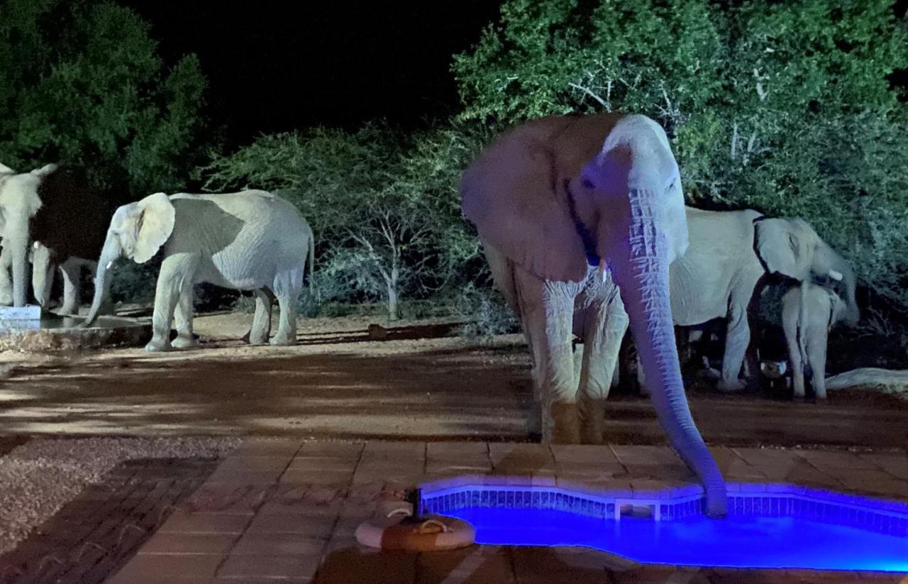 Twiga Lodge Mabalingwe Bela-Bela Buitenkant foto